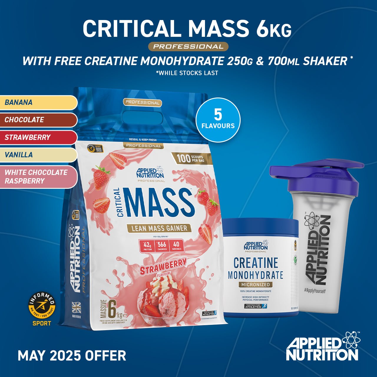 Critical Mass Professional - Lean Mass Gainer