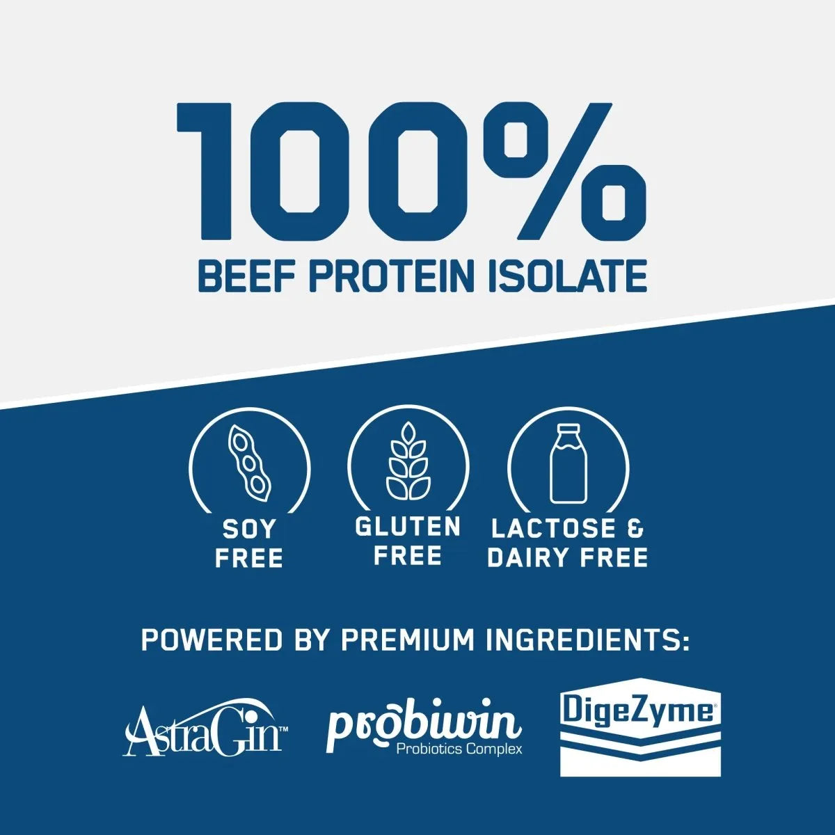 Beef Mass Gainer