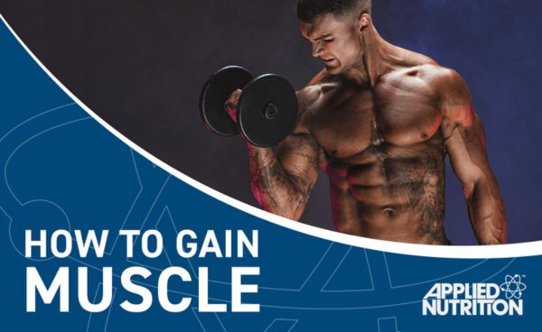 What is the key to building muscle?