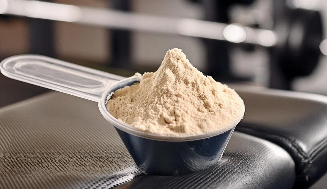 Beef Protein: What is it, Benefits and How to Use It
