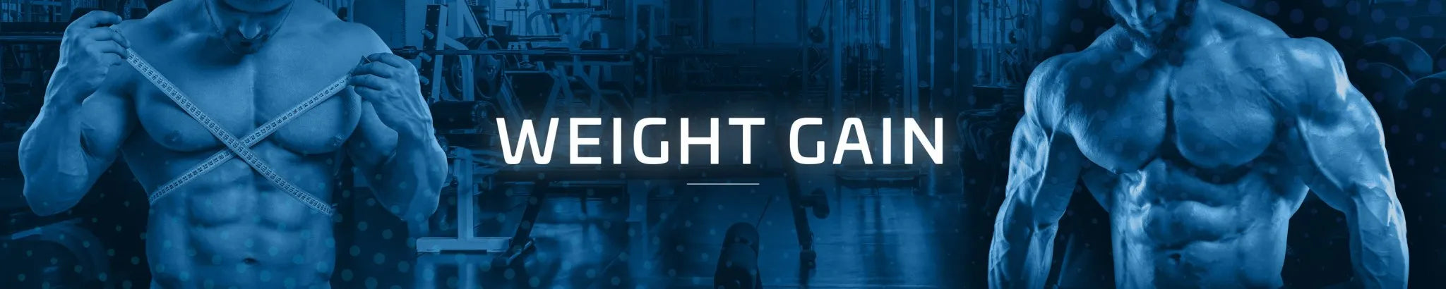 Weight Gain - Applied Nutrition plc
