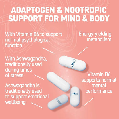 Shilajit, Lions Mane, Ashwagandha Capsules (60 Capsules)