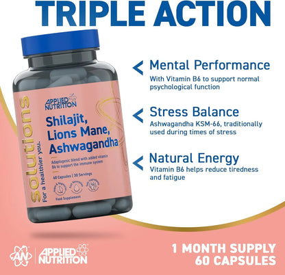Shilajit, Lions Mane, Ashwagandha Capsules (60 Capsules)