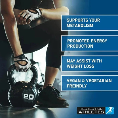 Acetyl L-Carnitine 150g -  Premium Performance Compound