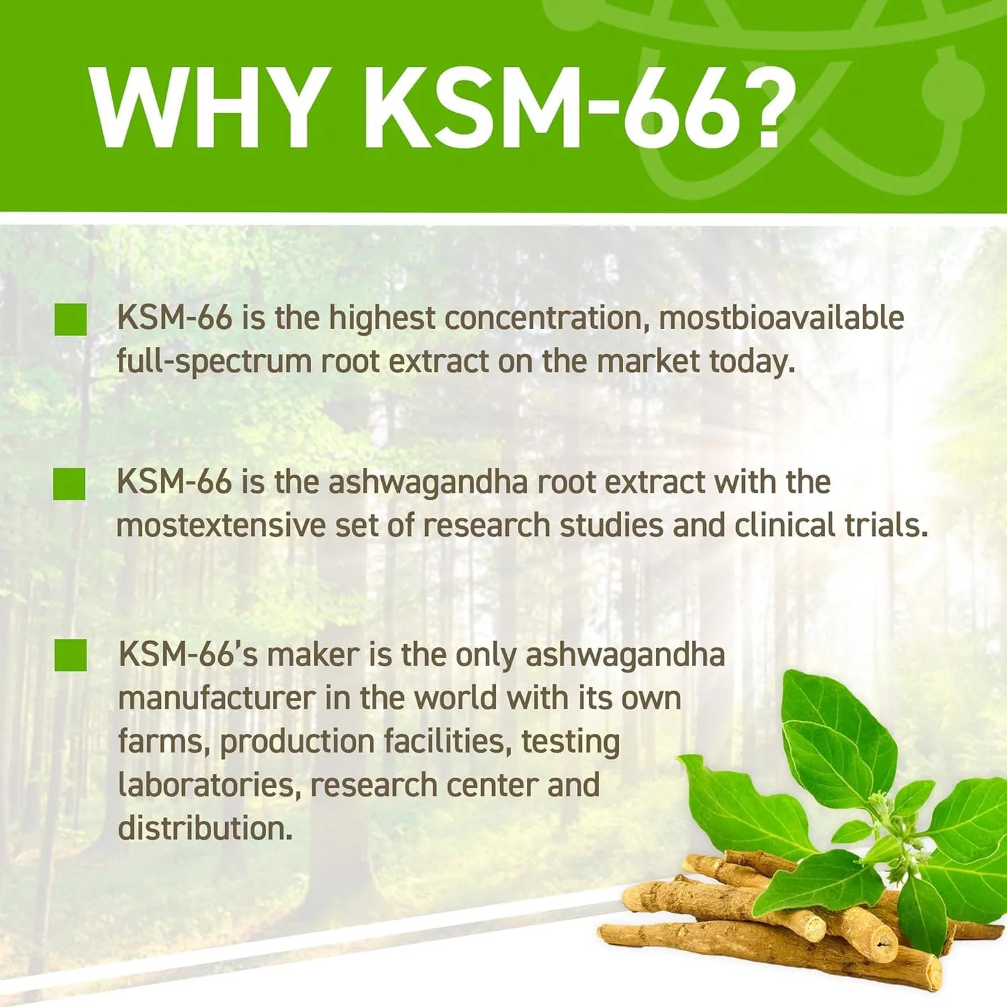 Ashwagandha KSM-66