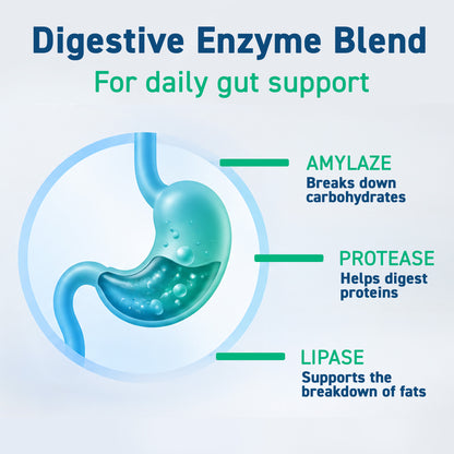 Digest Capsules - GLP-1 Friendly