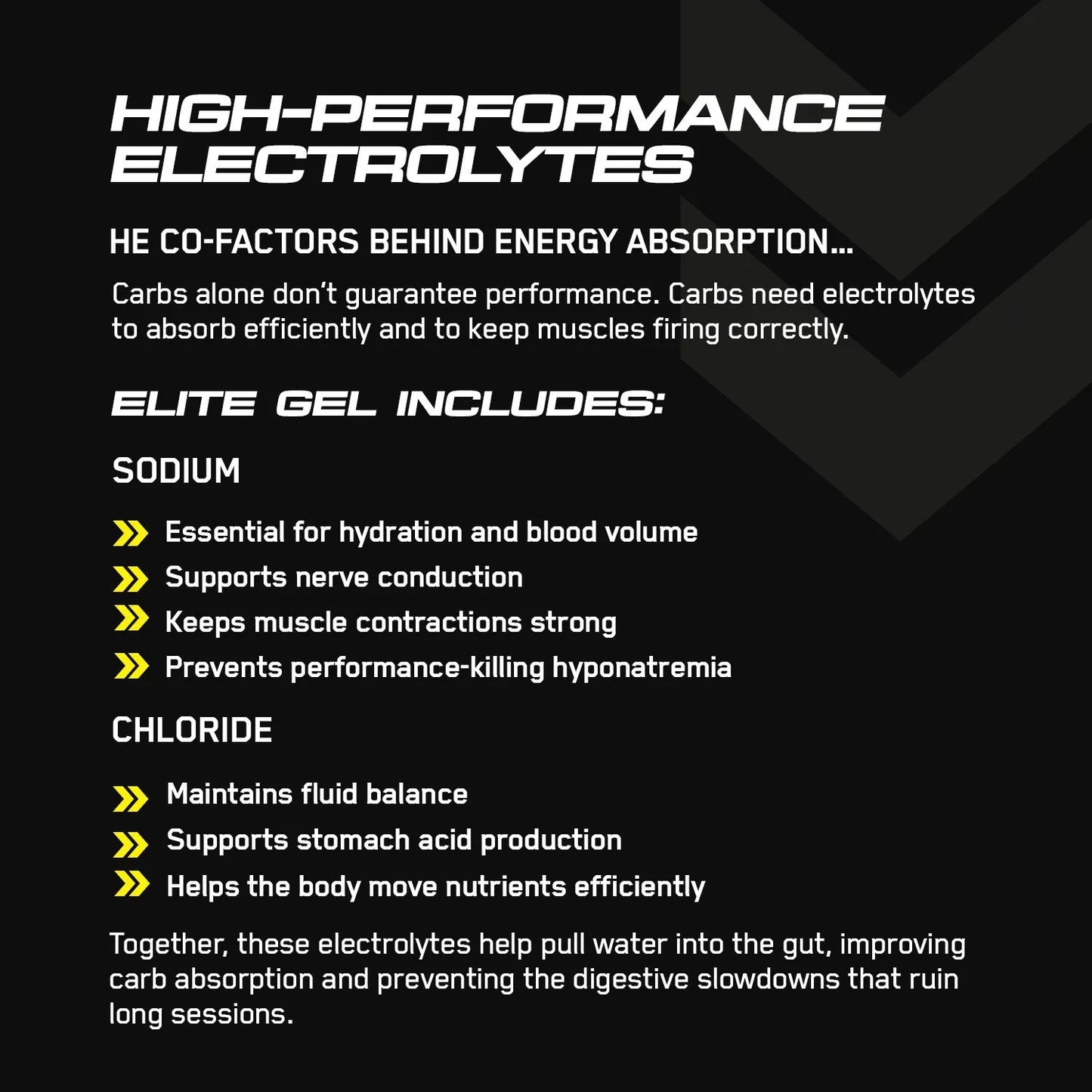 Endurance Elite Performance Energy Gel
