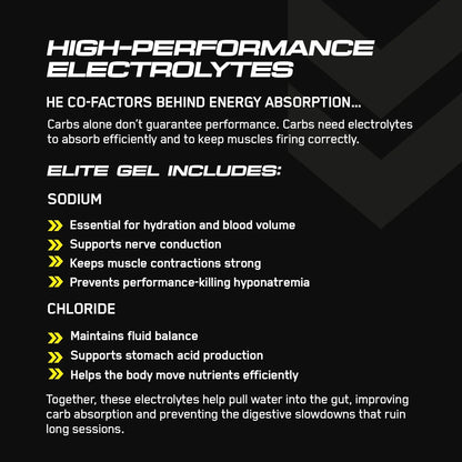 Endurance Elite Performance Energy Gel