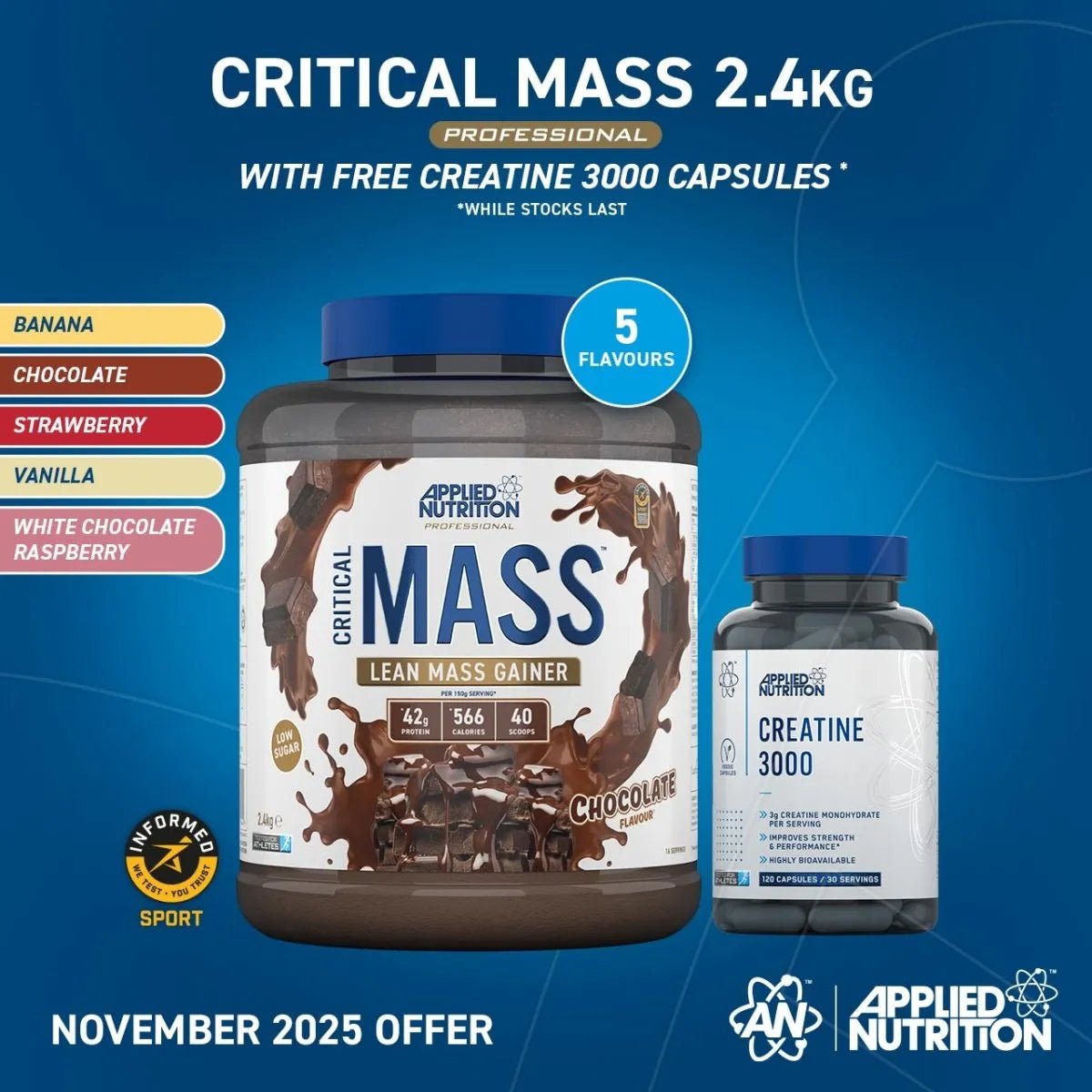 Critical Mass Professional - Lean Mass Gainer