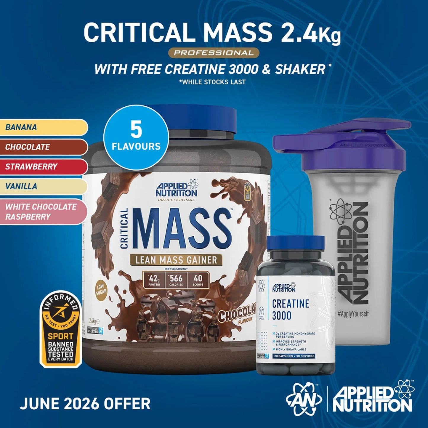 Critical Mass Professional - Lean Mass Gainer