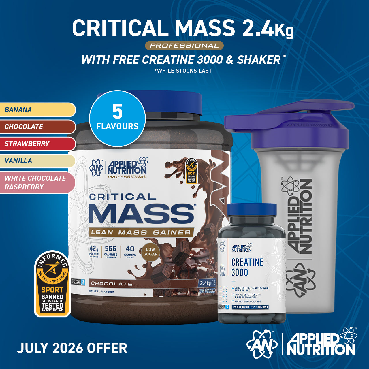 Critical Mass Professional - Lean Mass Gainer