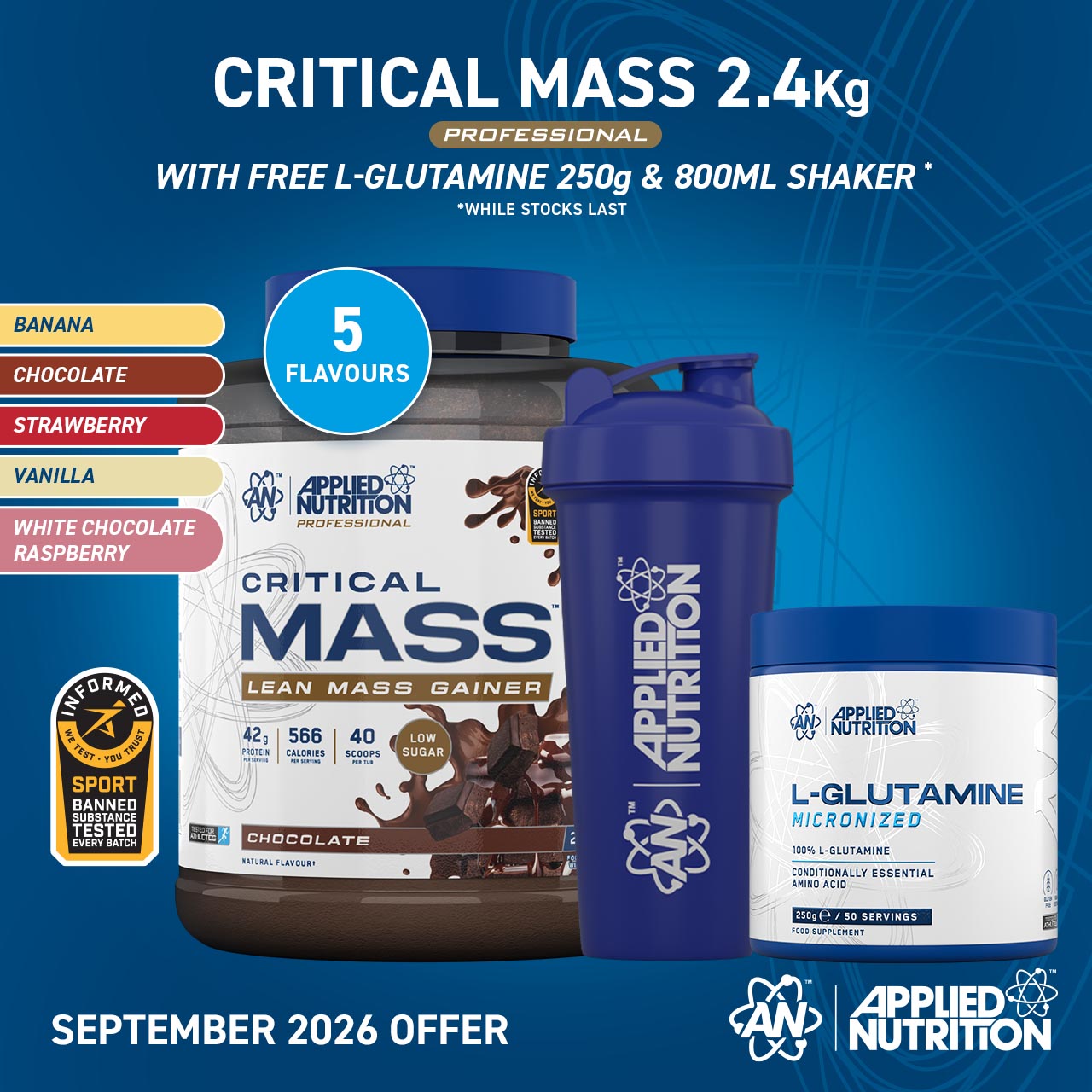 Critical Mass Professional - Lean Mass Gainer