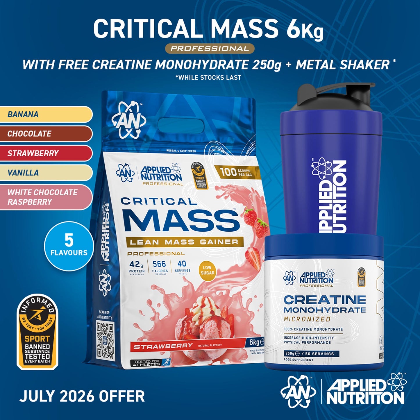 Critical Mass Professional - Lean Mass Gainer