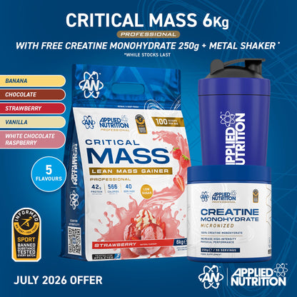 Critical Mass Professional - Lean Mass Gainer