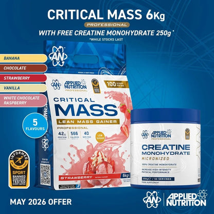 Critical Mass Professional – Lean Mass Gainer