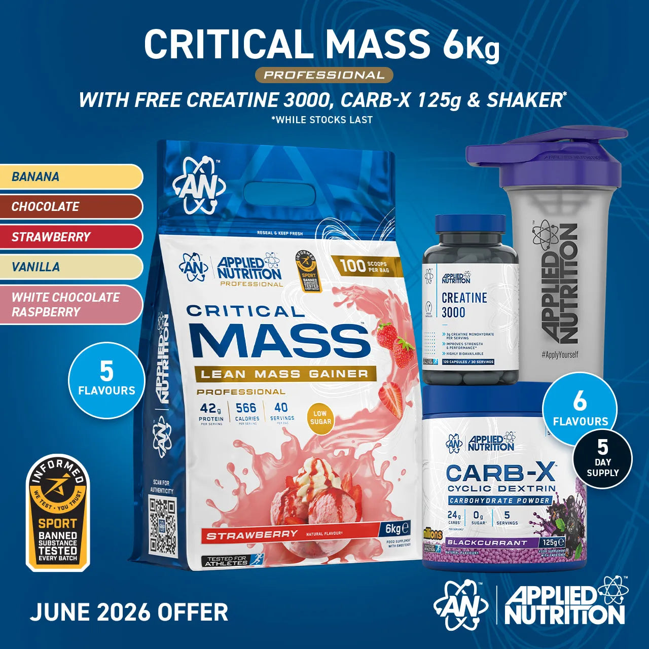 Critical Mass Professional - Lean Mass Gainer