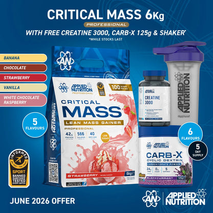 Critical Mass Professional - Lean Mass Gainer
