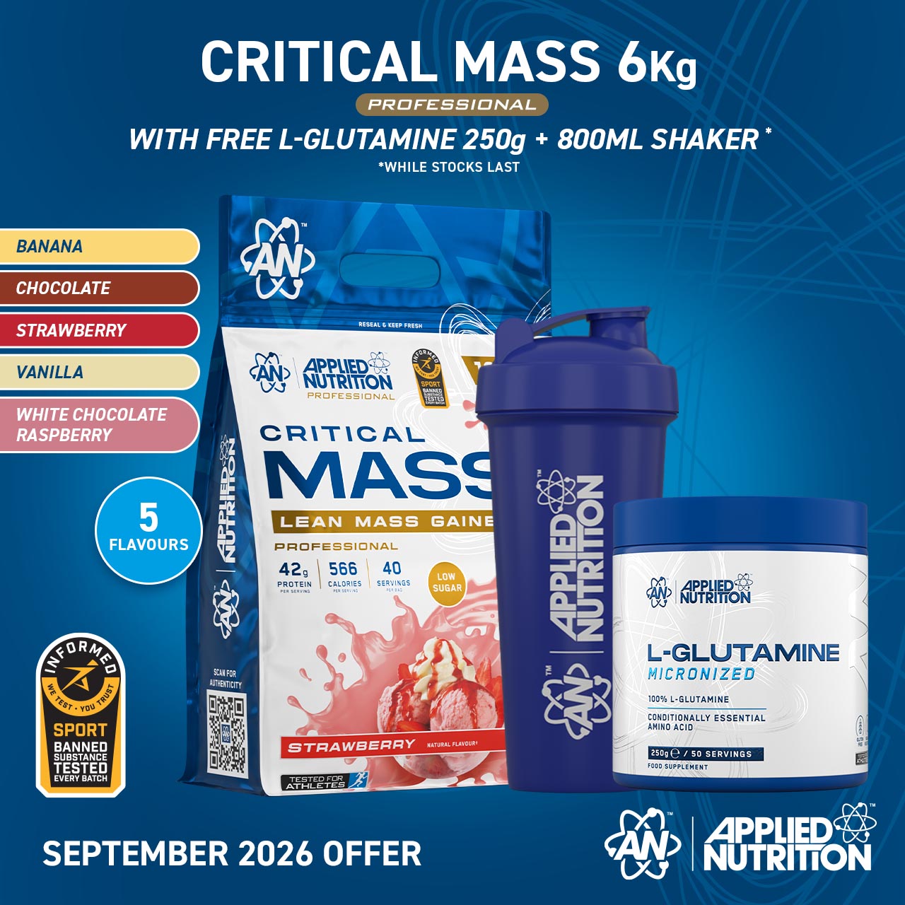 Critical Mass Professional - Lean Mass Gainer