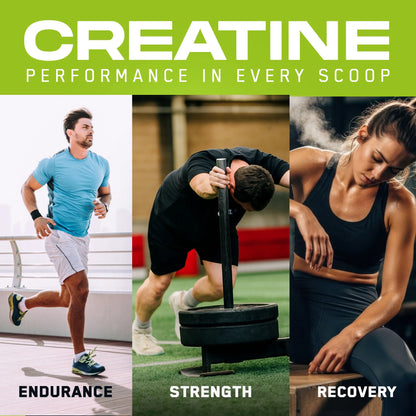 Creapure™ Creatine Monohydrate
