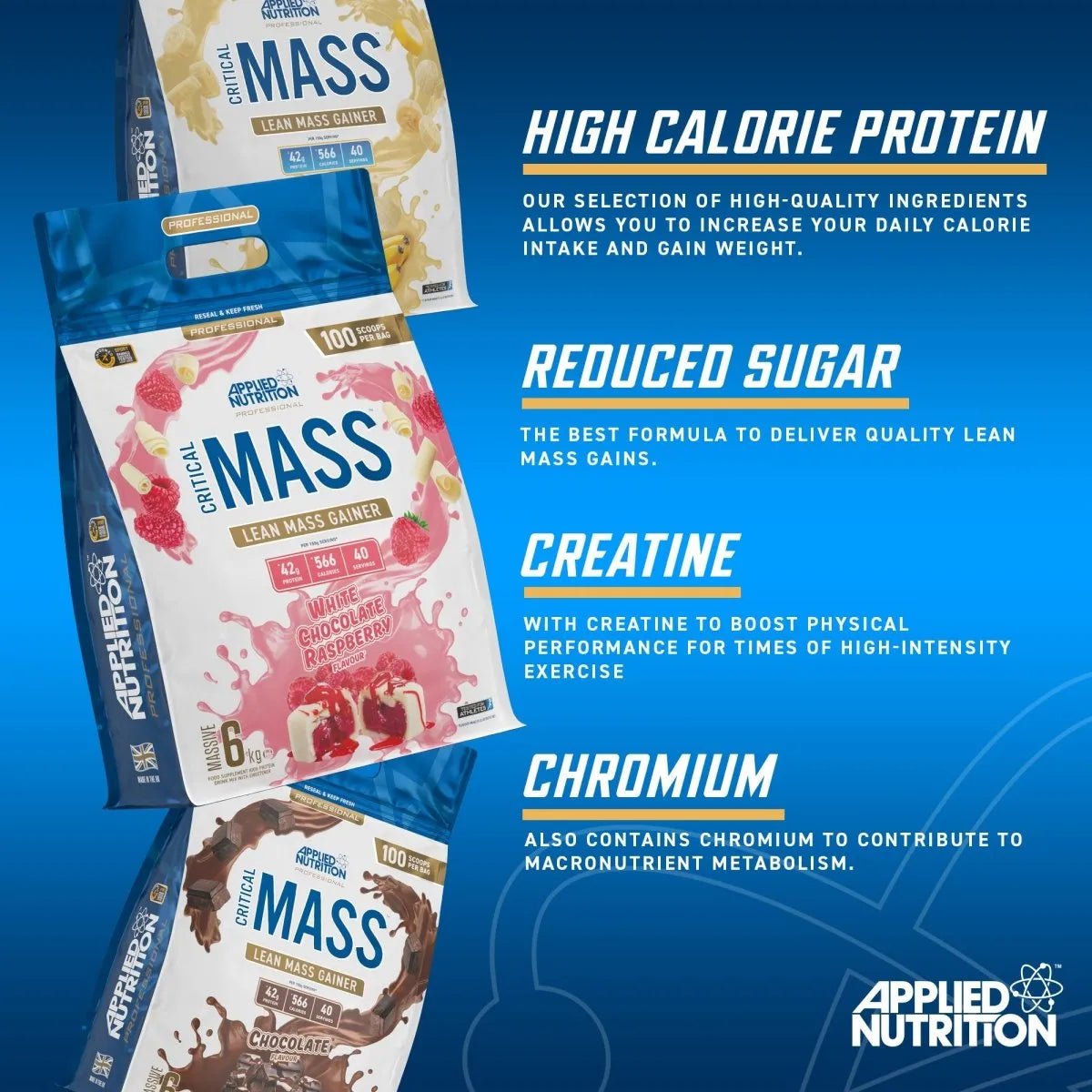 Critical Mass Professional - Lean Mass Gainer