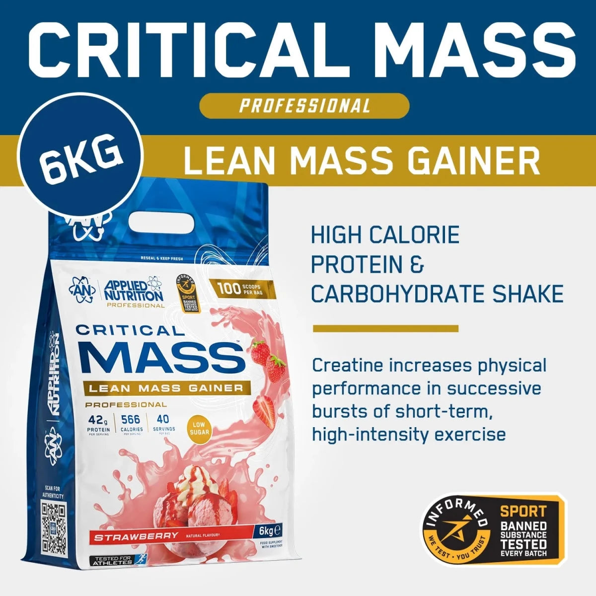 Critical Mass Professional - Lean Mass Gainer