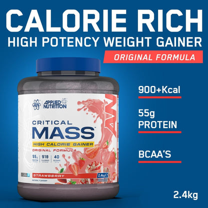 Critical Mass Original 6 kg kalórianövelő (25 adag)