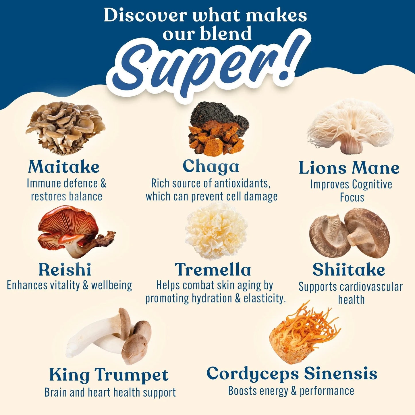 Protein + Mushrooms 450g (15 Servings)