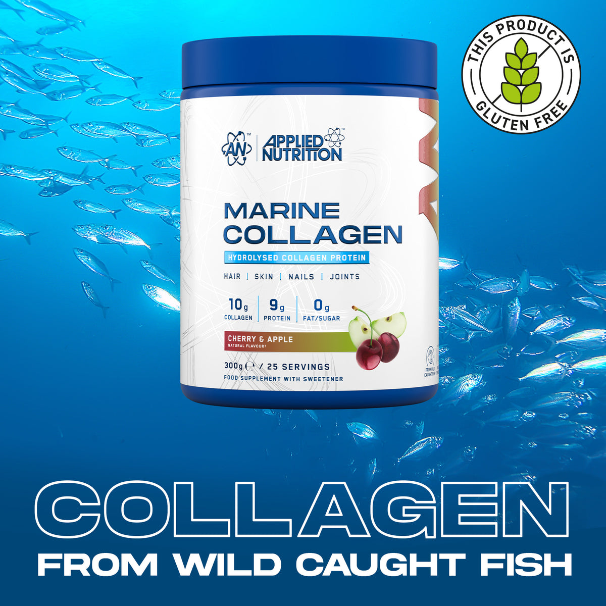 Marine Collagen Powder