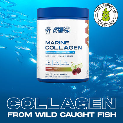 Marine Collagen Powder