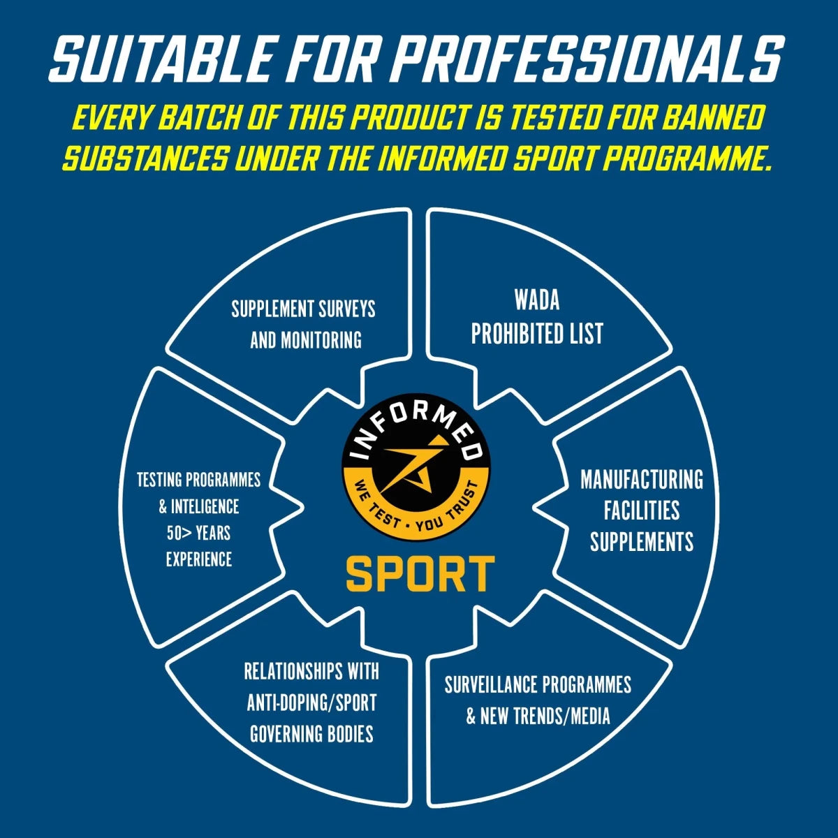 Endurance Energy & Hydration Powder