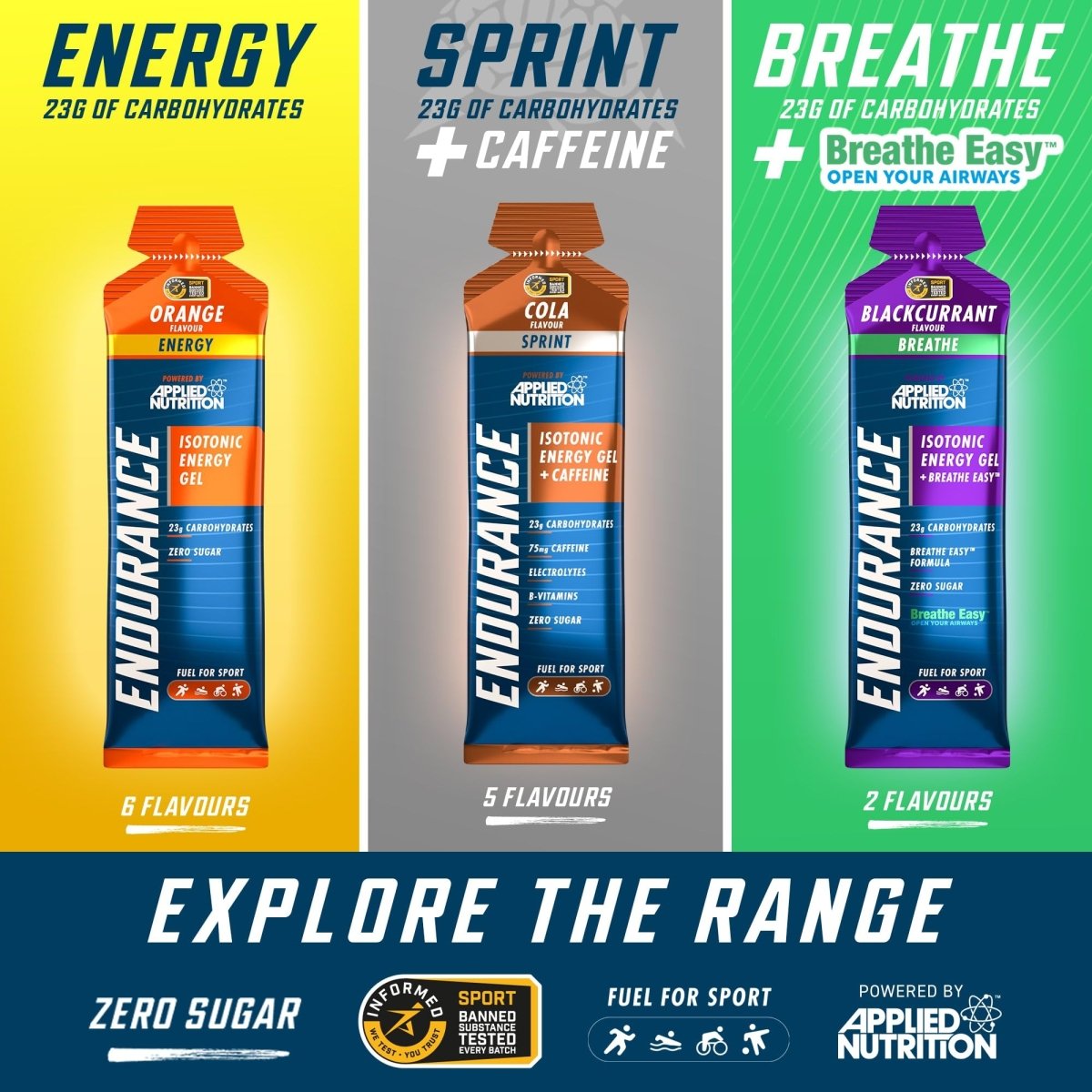 6 PACK - GEL ENDURANCE VARIETY - ENERGY