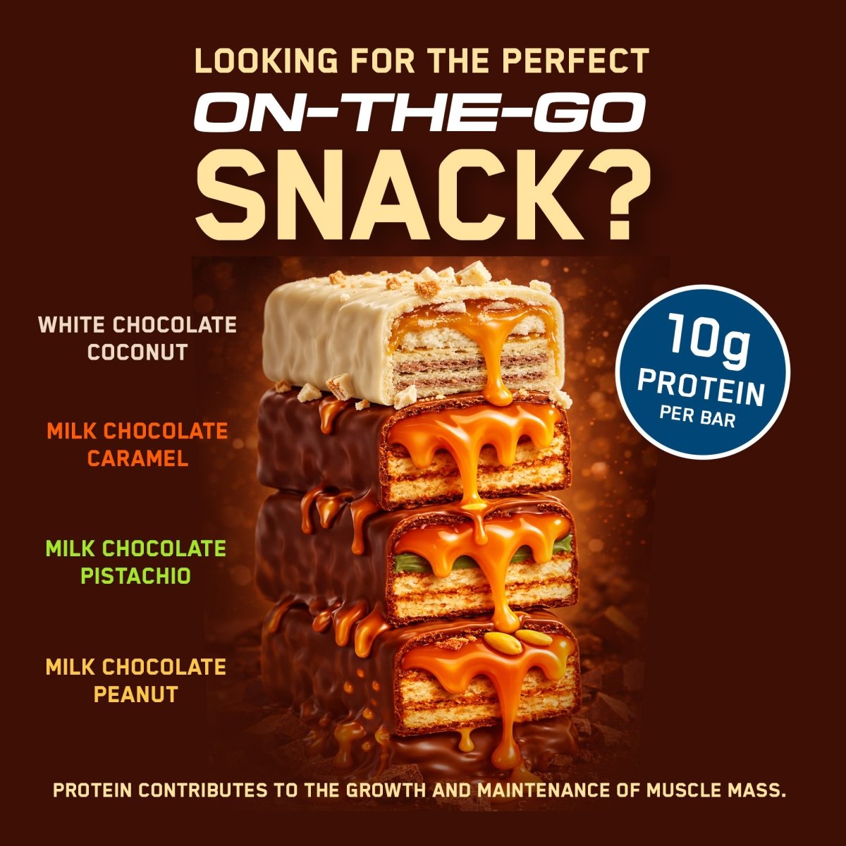Protein Wafers